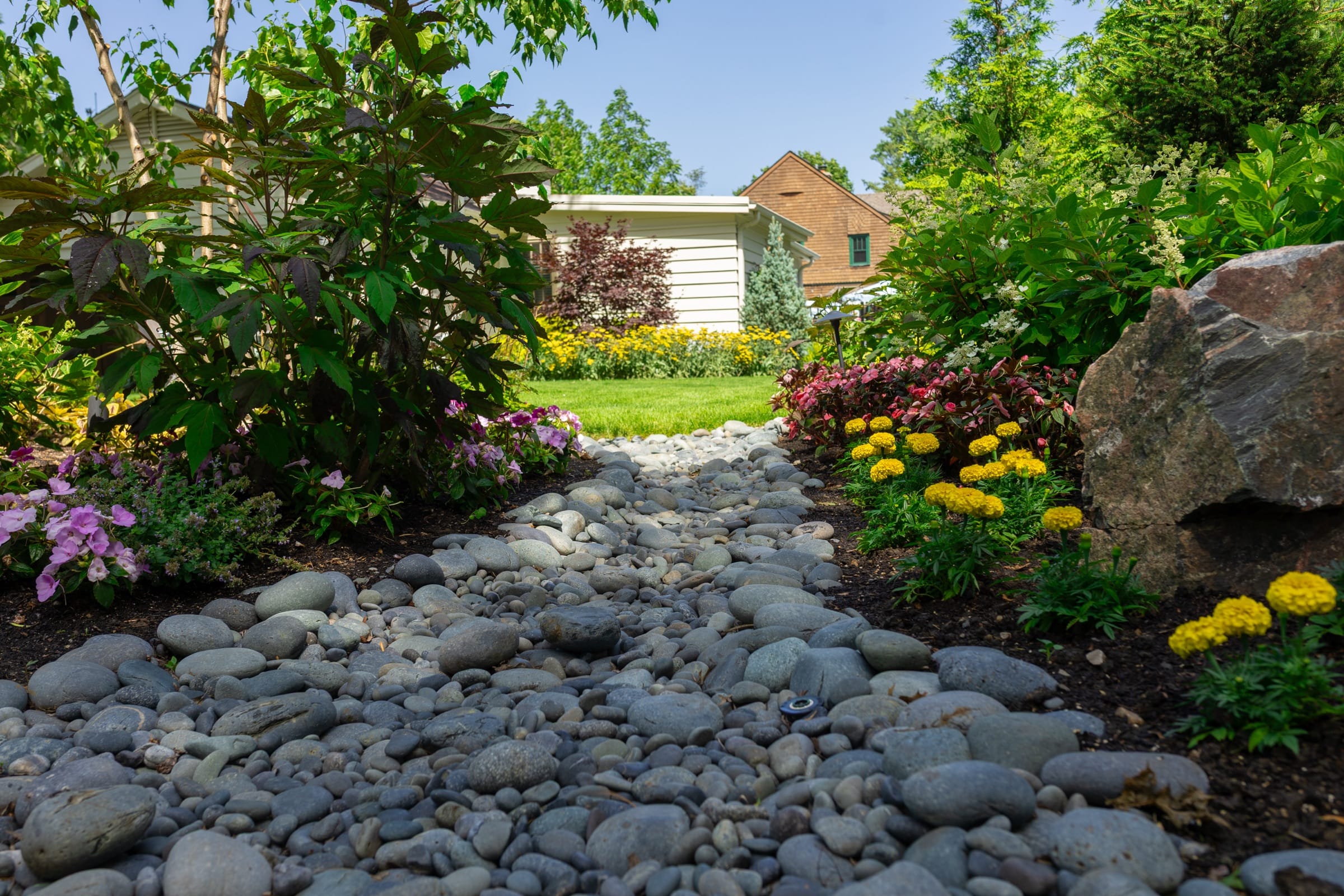 A North Shore garden in golden afternoon light